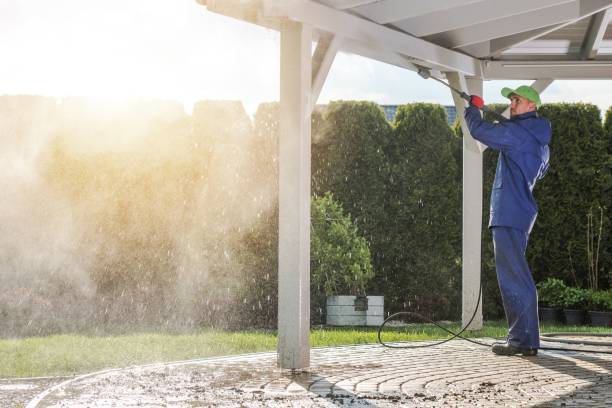 Best Spring Cleaning  in Weedpatch, CA