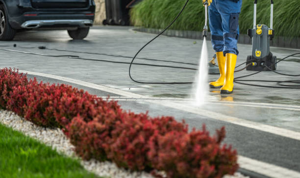 Best Driveway Pressure Washing  in Weedpatch, CA